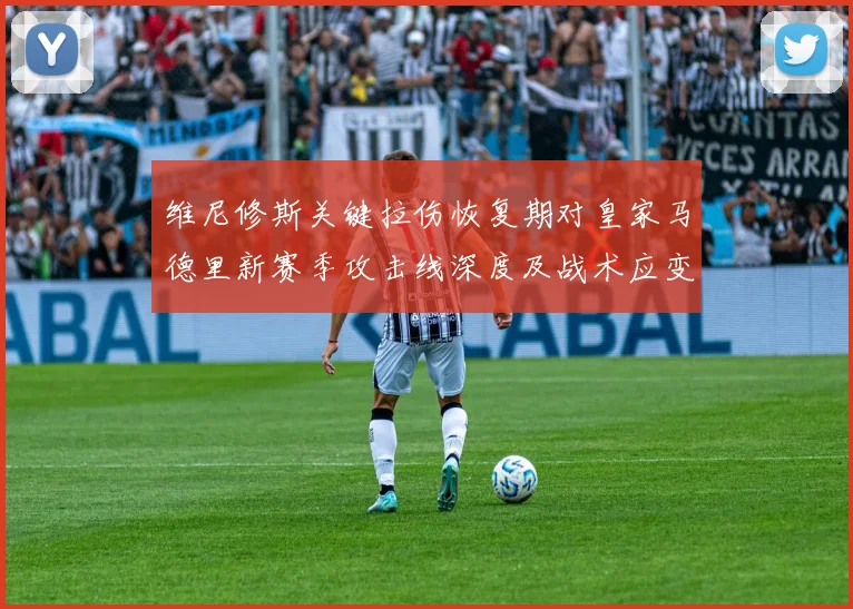 维尼修斯关键拉伤恢复期对皇家马德里新赛季攻击线深度及战术应变考验