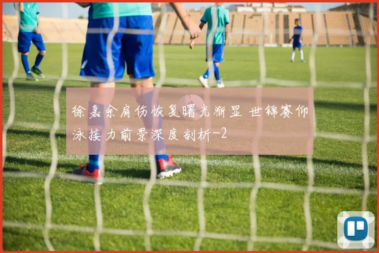 徐嘉余肩伤恢复曙光渐显 世锦赛仰泳接力前景深度剖析