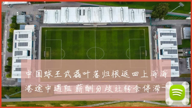 中国球王武磊叶落归根返回上海海港途中遇阻 薪酬分歧让转会停滞